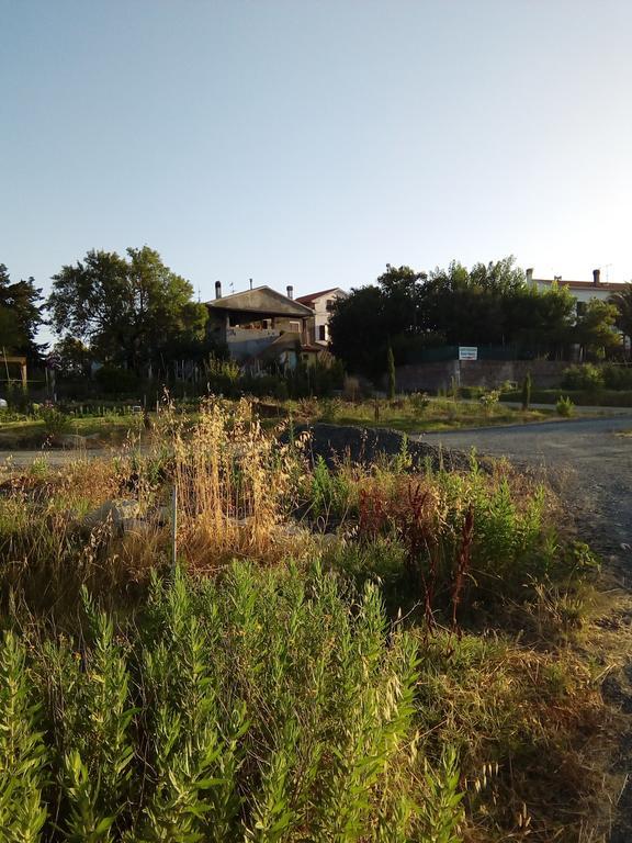 Carlo'S Country House Castellina Marittima Zewnętrze zdjęcie