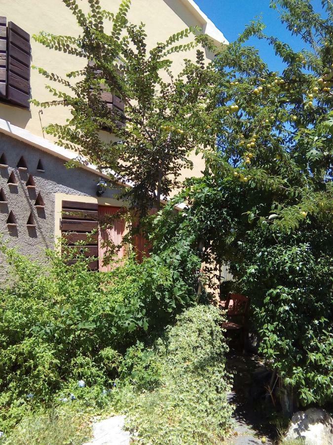 Carlo'S Country House Castellina Marittima Zewnętrze zdjęcie